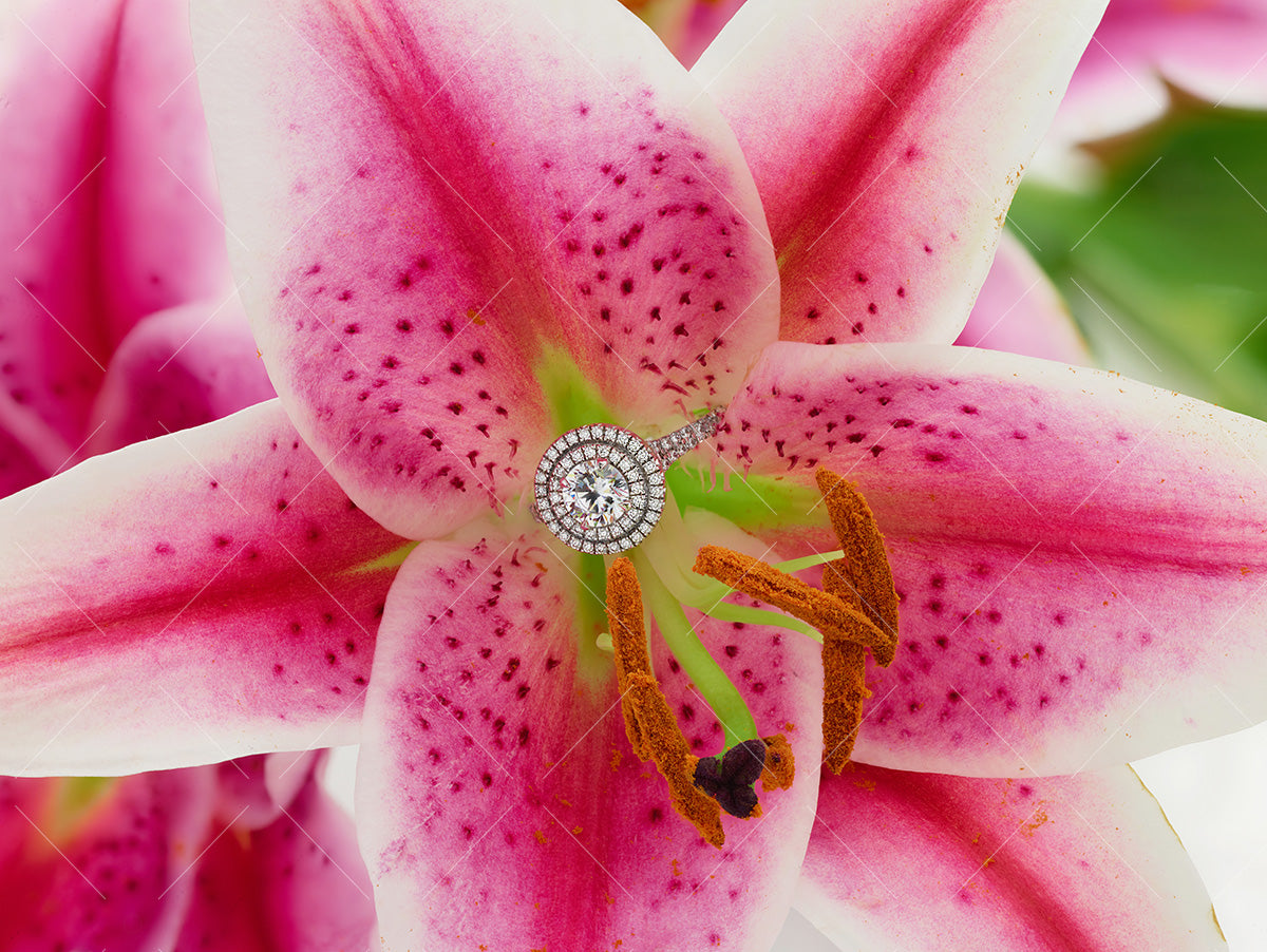Diamond halo ring and pink lily  - NC3003