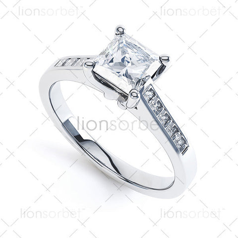 R1-316 Princess