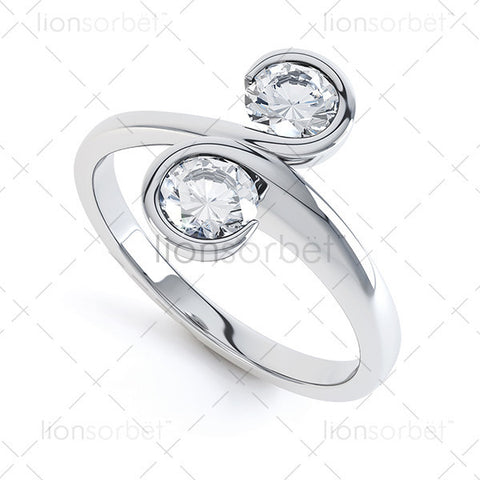 R2-1003 2stone