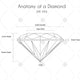 Anatomy of a Diamond Image - CJ007