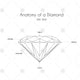 Anatomy of a Diamond Image - CJ009