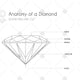 Anatomy of a Diamond Image - CJ010