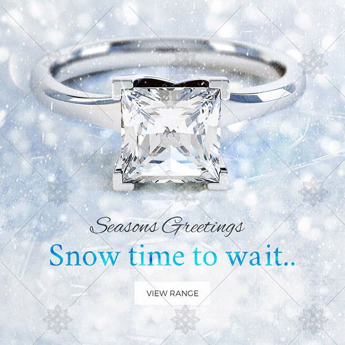 Winter Themed Engagement Ring website Banner - B1009