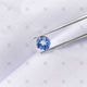 Round Tanzanite in a parcel - GS1010