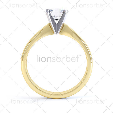 R11040 (M66-A1) Domino Image Pack