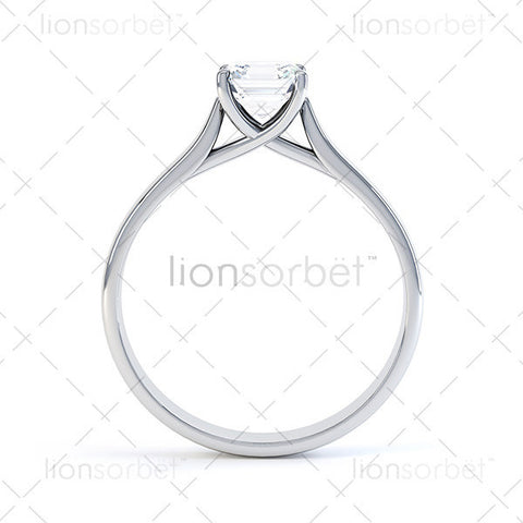 Hockley MTSS-568 Asscher