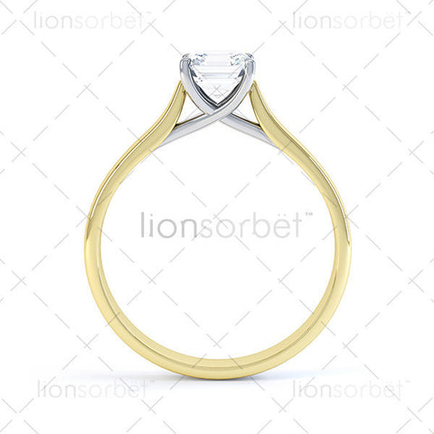 Hockley MTSS-568 Asscher
