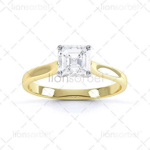 Hockley MTSS-568 Asscher