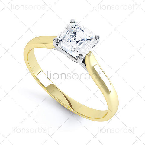 Hockley MTSS-568 Asscher