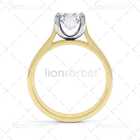 Hockley MTSS-660 Asscher