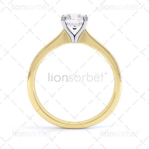 Hockley MTSS-858 Round