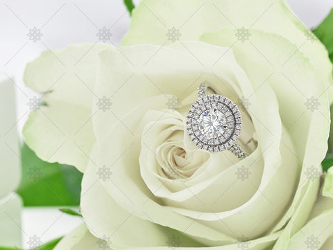 Halo Diamond Ring & White Rose  - NC3001