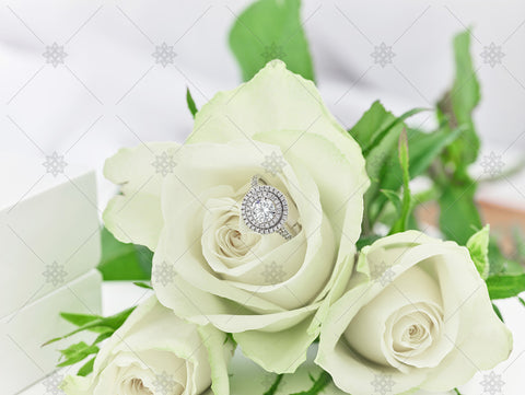 Halo Diamond Ring & White Rose  - NC3002