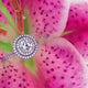Diamond halo ring & pink lily  - NC3004