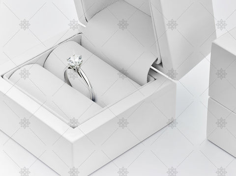 White Gold Diamond Ring in Jewellery Box - NE1040a