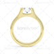 R1117 Domino Image Pack