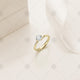 Yellow Gold Diamond Ring - Studio Shot - MJ1019