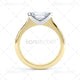 Domino R1-251 Marquise