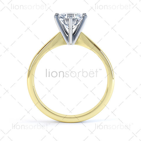R11041 (M66-B1) Domino Image Pack