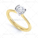 R11072 Domino Image Pack