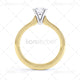 R11072 Domino Image Pack