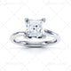 R1139 Domino Image Pack